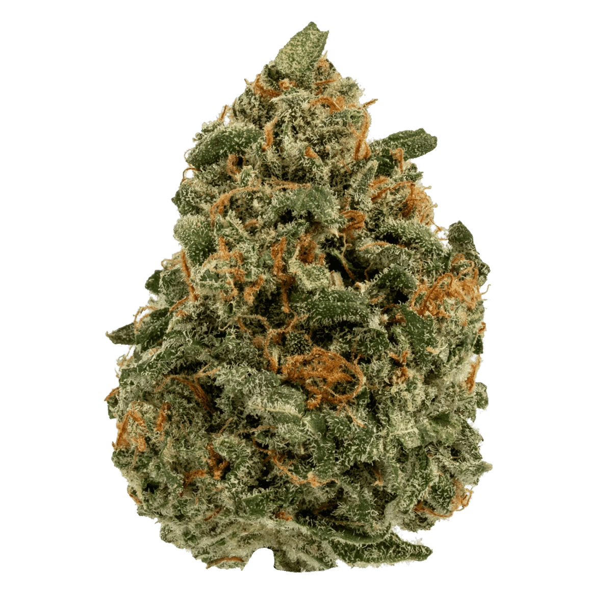 Super Silver Haze